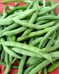 Fresh English Beans Vegetables Exporters in India