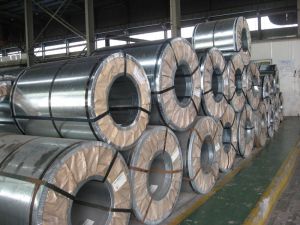 Hot Rolled Steel Coils