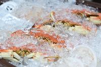 frozen sea food
