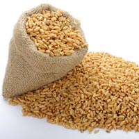 Food Grains & Cereals
