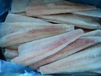 Frozen Alaska Pollock Fillet