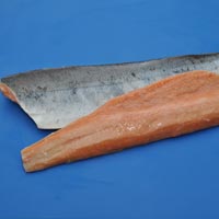 Frozen Salmon Fish