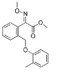 Kresoxim-methyl, Brand Name : Longjiang
