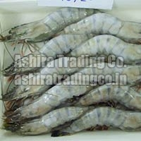 Frozen Black Tiger Shrimps