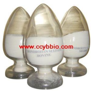 Chondroitin Sulfate From Shark