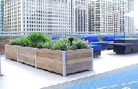 plastic planters and wooden planters