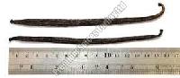 Gourmet Vanilla Beans