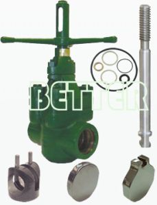 DM Gate Valve