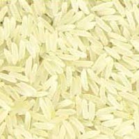 PR 11 Sella Golden Rice