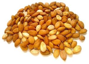 Apricot Kernels
