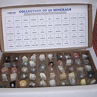 Collection of 50 Minerals Plastic Tray Box