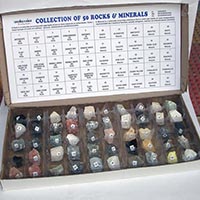 Rocks & Minerals Plastic Tray Box