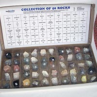 Collection of 50 Rocks Plastic Tray Box