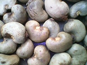 Baobab Dried Pulp, Raw Cashew Nuts, Shea Nuts