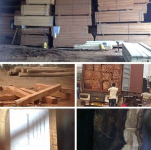 Tali,sawn Timber, Wood