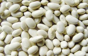 white kidney beans
