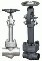 Cryogenic Globe Valve