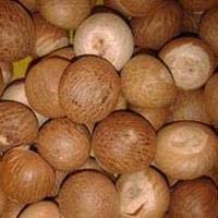 Whole Betel Nuts
