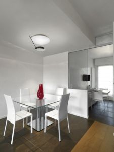 LEDS C4 GROK Ibis 21 Ceiling Light
