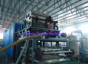 Fruit Tray Making Machine