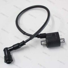 Bike Ignition Coil