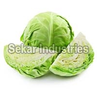 fresh cabbage