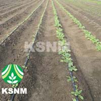 Drip Watering Irrigation System