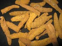 turmeric fingers