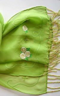 Embroidered Chiffon Silk