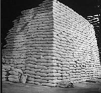 Refined Cane Sugar ICUMSA