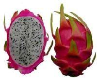 dragon fruit