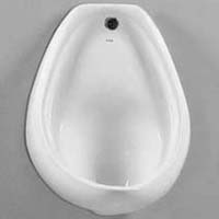 Wall Mounted Urinal