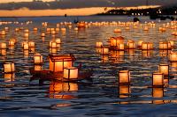 Floating Water Lanterns
