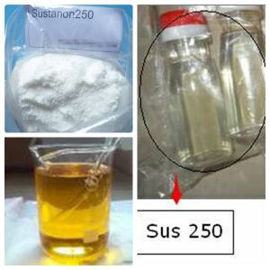 Sustanon 250mg/ml Finished Injectable Solutions + Tesosterone Blends