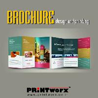 Catalogs and Brochure