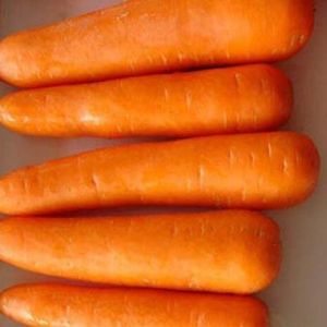 Fresh Carrots