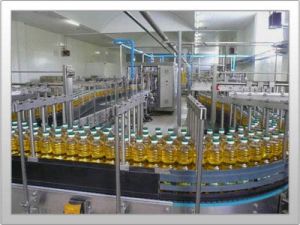 Import Export Consultancy Services