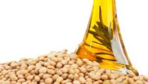 Refined Soybean Oil