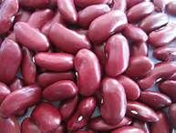 kidney beans,  Packaging Type : Bag Or Can
