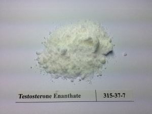 white powder testosterone enanthate