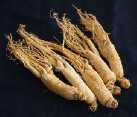American Ginseng Powder