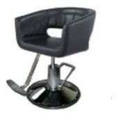 Stylish Universal Salon Chair