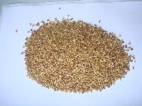 coriander seeds