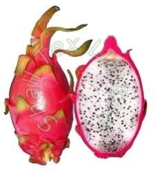 Fresh Red Dragon Fruit