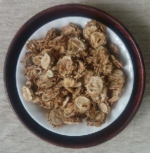 Salted Dried Bitter Gourd