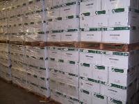 Double A a4 Copy Paper