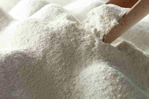 Whey Powder Dosage Form : Scoop