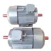 Double End Shaft Motor