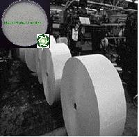 Guar Gum Powder for Paper Industry