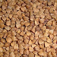 Roasted Buckwheat Kernels
